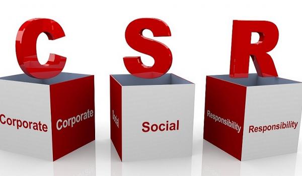 The Complementarity Between CSR Disclosures And The Use of CSR-based Performance Measures in CEO Annual Incentive Contracts