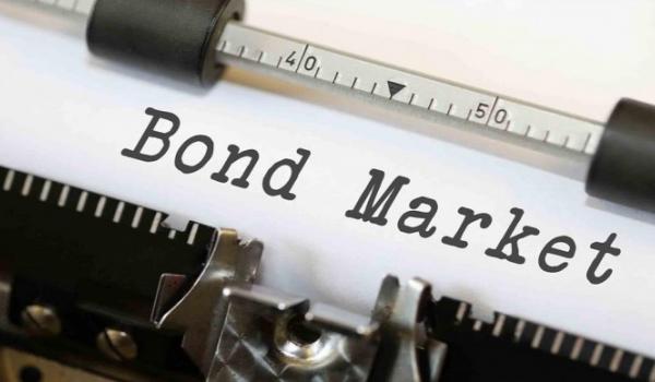 Policy Interventions, Liquidity, and Clientele Effects in The Chinese Corporate Credit Bond Market