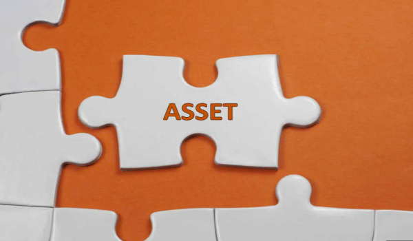 Asset Purchase