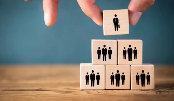 Organizational Structure