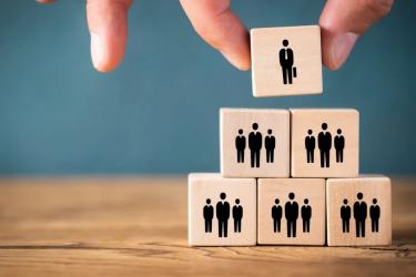 Organizational Structure